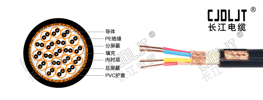 DJYPVP,DJYPVP電纜,編織電纜,屏蔽電纜,計(jì)算(suàn)機電纜,長江電纜