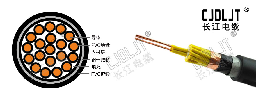 ZC-KVV22,KVV22,控制電纜,铠裝電纜,阻燃電纜,長江電纜